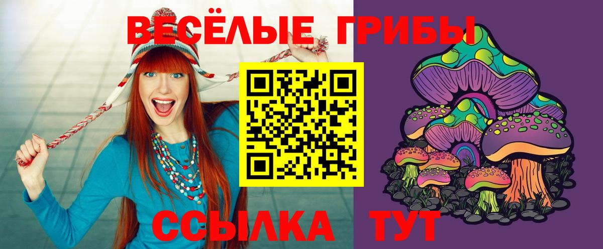 Алатырь  Галлюциногенные грибы Magic Shrooms  купить  сайты  Вход с VPN 